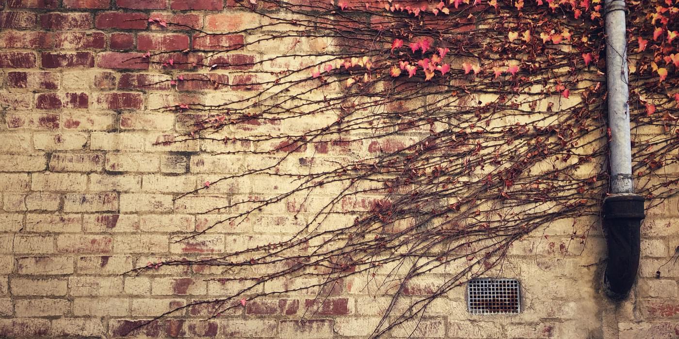 Preview image for Building a pure CSS animated SVG spinner