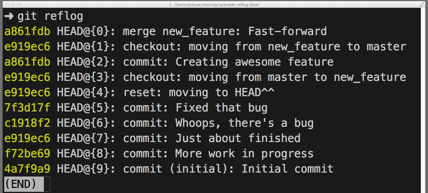 Preview image for How to undo (almost) anything with Git