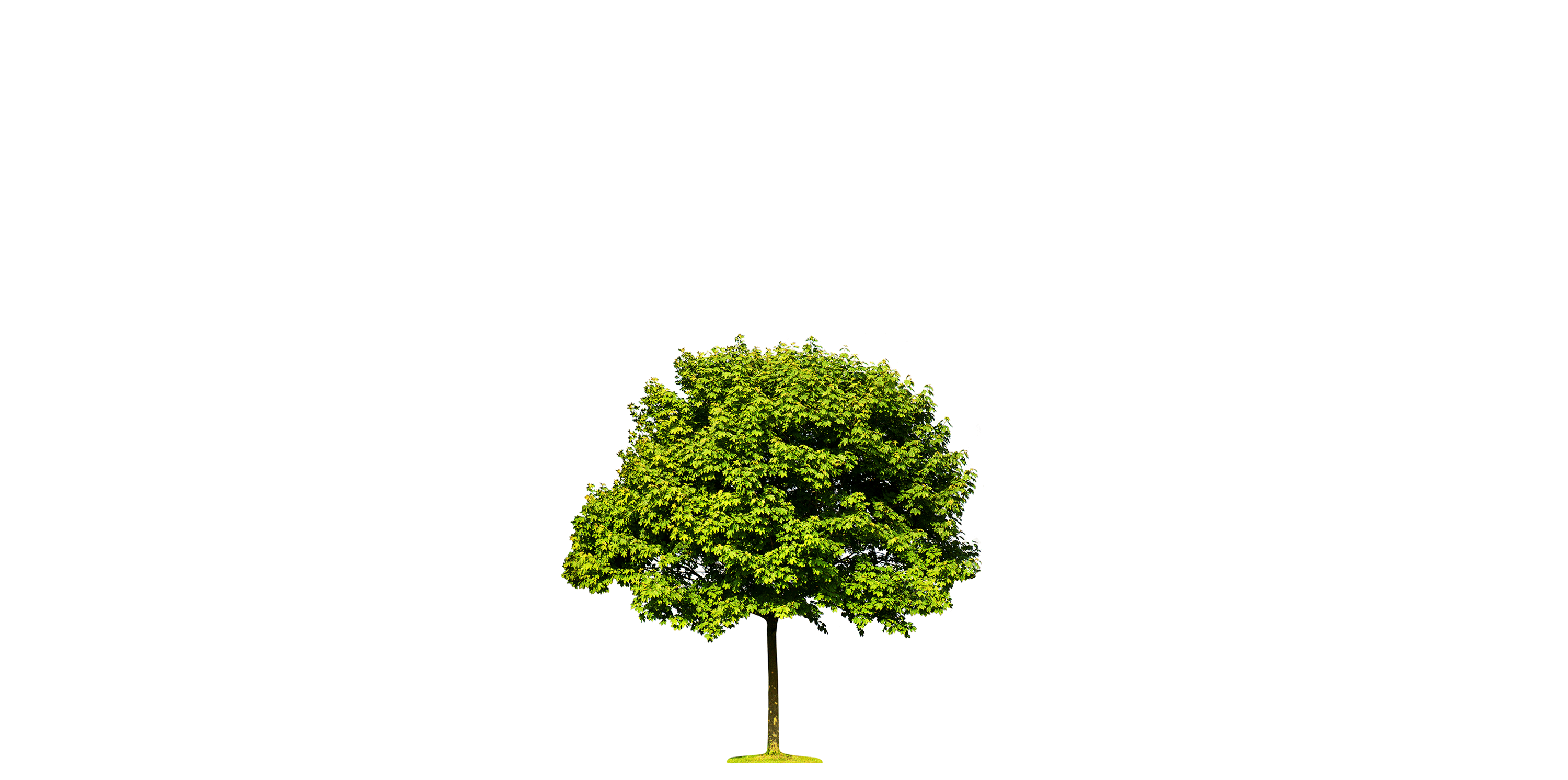 Preview image for The Widening Responsibility for Front-End Developers